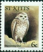 Saint Kitts 1981 - serie Uccelli: 6 c