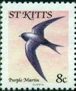 Saint Kitts 1981 - serie Uccelli: 8 c