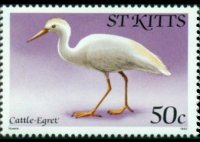 Saint Kitts 1981 - serie Uccelli: 50 c