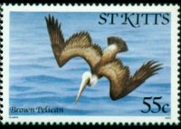Saint Kitts 1981 - serie Uccelli: 55 c
