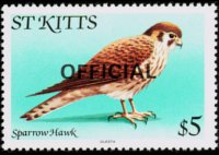 Saint Kitts 1981 - serie Uccelli: 5 $