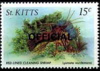 Saint Kitts 1984 - set Sealife: 15 c