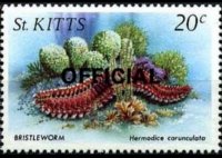 Saint Kitts 1984 - set Sealife: 20 c