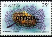 Saint Kitts 1984 - set Sealife: 25 c