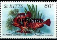 Saint Kitts 1984 - set Sealife: 60 c