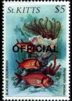 Saint Kitts 1984 - set Sealife: 5 $