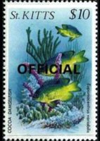 Saint Kitts 1984 - serie Vita marina: 10 $