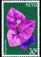 Nevis 1984 - serie Fiori: 30 c