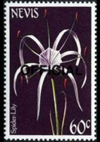 Nevis 1985 - serie Fiori: 60 c