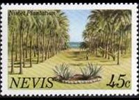 Nevis 1981 - serie Vedute: 45 c