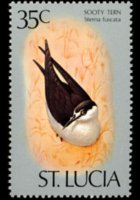 Saint Lucia 1976 - set Birds: 35 c