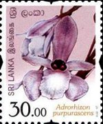 Sri Lanka 2016 - serie Fiori dello Sri Lanka: 30,00 Rs