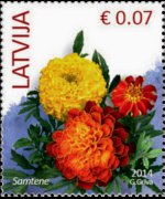 Latvia 2014 - set Flowers: 0,07 €