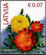 Lettonia 2014 - serie Fiori: 0,07 €