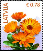 Lettonia 2014 - serie Fiori: 0,78 €