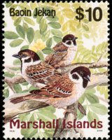 Isole Marshall 1999 - serie Uccelli: 10 $
