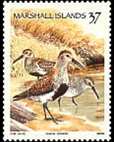 Isole Marshall 1999 - serie Uccelli: 37 c