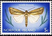 Norfolk Island 1976 - set Butterflies: 5 c