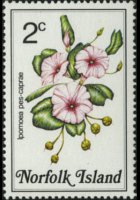 Norfolk 1984 - serie Fiori: 2 c