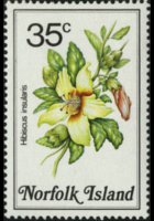 Norfolk 1984 - serie Fiori: 35 c