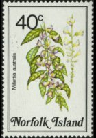 Norfolk 1984 - serie Fiori: 40 c