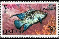 Qatar 1965 - serie Pesci: 30 np