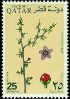 Qatar 1991 - set Desert plants: 25 d