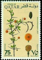 Qatar 1991 - set Desert plants: 75 d