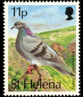 Sant'Elena 1993 - serie Uccelli: 11 p