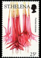 Saint Helena 2003 - set Flowers: 25 p