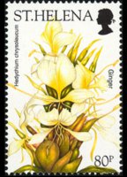 Sant'Elena 2003 - serie Fiori: 80 p