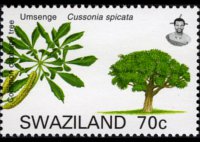 Swaziland 2007 - serie Alberi: 70 c