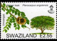 Swaziland 2007 - serie Alberi: 2,55 E
