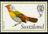 Swaziland 1976 - serie Uccelli: 3 c