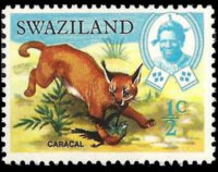 Swaziland 1969 - serie Animali: ½ c
