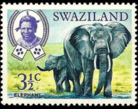 Swaziland 1969 - serie Animali: 3½  c