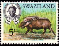 Swaziland 1969 - serie Animali: 5 c