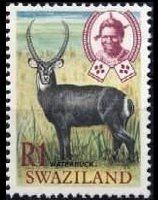 Swaziland 1969 - serie Animali: 1 R