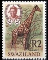 Swaziland 1969 - serie Animali: 2 R