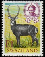 Swaziland 1969 - serie Animali: 1 E