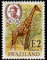 Swaziland 1969 - serie Animali: 2 E