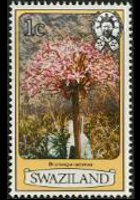 Swaziland 1980 - serie Fiori: 1 c