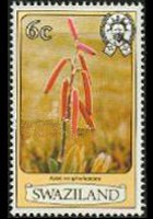 Swaziland 1980 - serie Fiori: 6 c