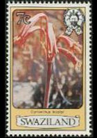 Swaziland 1980 - serie Fiori: 7 c