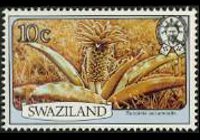 Swaziland 1980 - serie Fiori: 10 c
