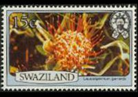 Swaziland 1980 - serie Fiori: 15 c