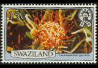 Swaziland 1980 - serie Fiori: 15 c