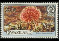 Swaziland 1980 - serie Fiori: 20 c