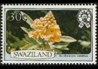 Swaziland 1980 - serie Fiori: 30 c