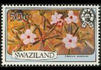 Swaziland 1980 - serie Fiori: 50 c